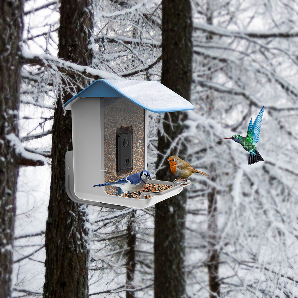 STLFNew Trend Smart Bird Feede - огляд і ціна Solar Panel